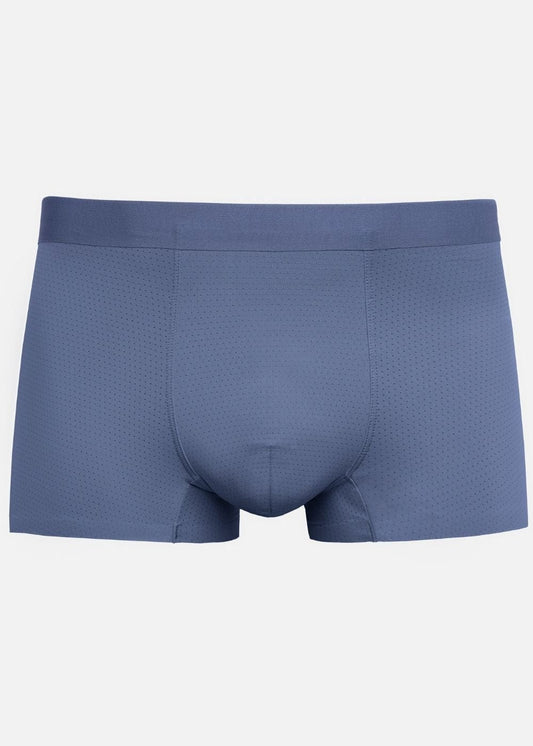 Quần Lót Boxer Ngắn Quần Lót Boxer Ngắn #Y2010 L01 Xanh Xám